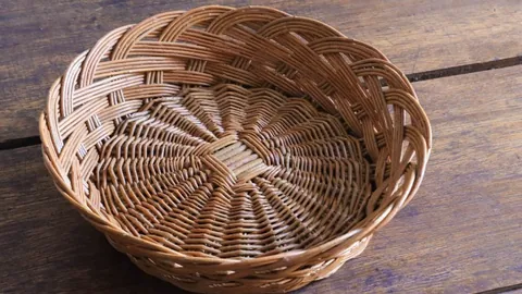 “凤巢视角：一队充满紧张、气派与警觉的国家级队伍”